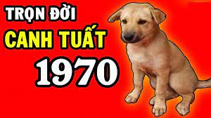 Xem ngày chuyển nhà tuổi 1982 4 Xem ngày chuyển nhà cho tuổi Canh Tuất 1970