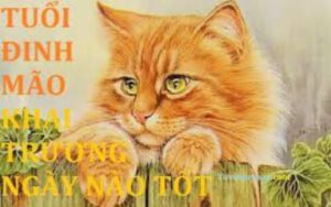 Xem ngày tốt chuyển nhà cho tuổi Đinh Mão