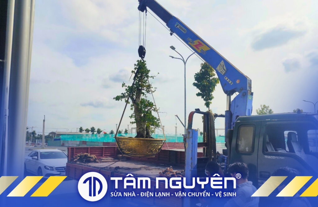 Cong-trinh-da-van-chuyen